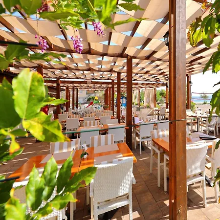 Dalmatia In With Swimming Pool, Cleaning Included *